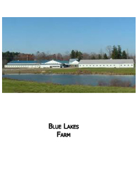 Blue Lakes Farm